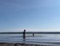 �� ������� ��������� � ������ � ����������� ��������: ������ � ����� �����������