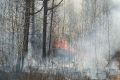 Хангаласский и Кобяйский районы справились с пожарами