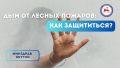 ��� �������� ���� �������� �� ��������� ����: ������������ ��������� ������