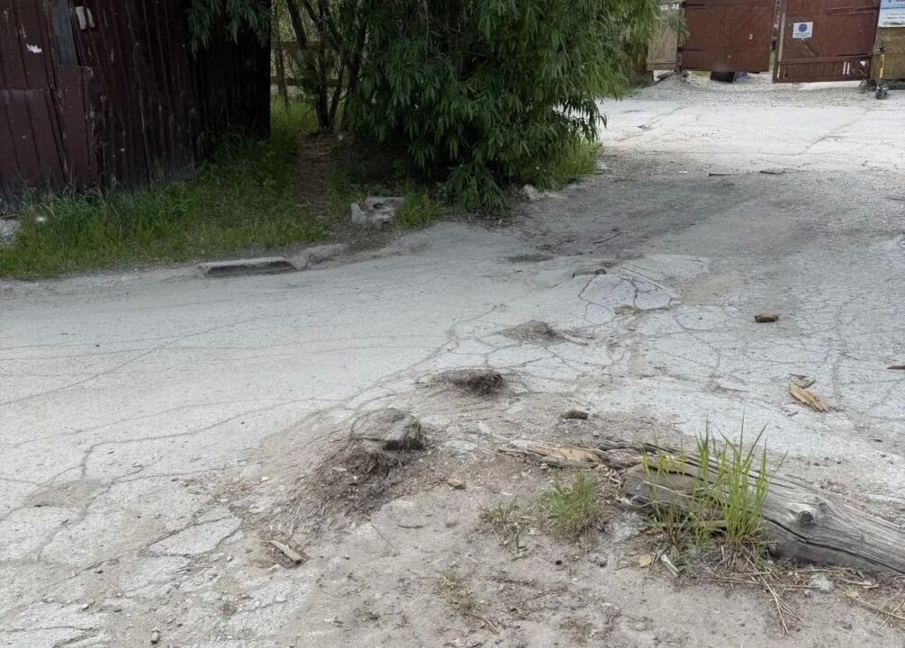 В Якутске дали старт необычной акции «Город без пней» В Якутске дали старт необычной акции «Город без пней»