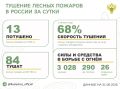 За прошедшие сутки в 9 регионах России потушили 13 лесных пожаров