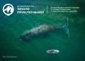 На конкурс «Дальний Восток – Земля приключений» уже заявились 219 авторов
