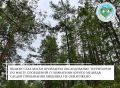 ���������� ������������ ����� � ���������� ���������� �������� ����������� ������ ��������� � ��������������� ���������� �������������� ������� ������������ ����������� ������ ���� ������ ���� ����� ���������� ������ ������...