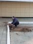 СахаЭкспоЦентр присоединился к акции «Город без пней»