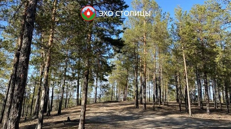 В Якутске дважды сообщили о медведях у Магана