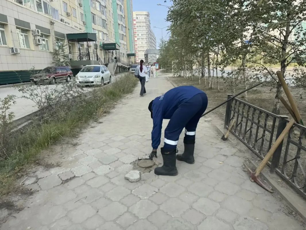В Губинском округе — очередной шаг к «Городу без пней»! В Губинском округе — очередной шаг к «Городу без пней»!