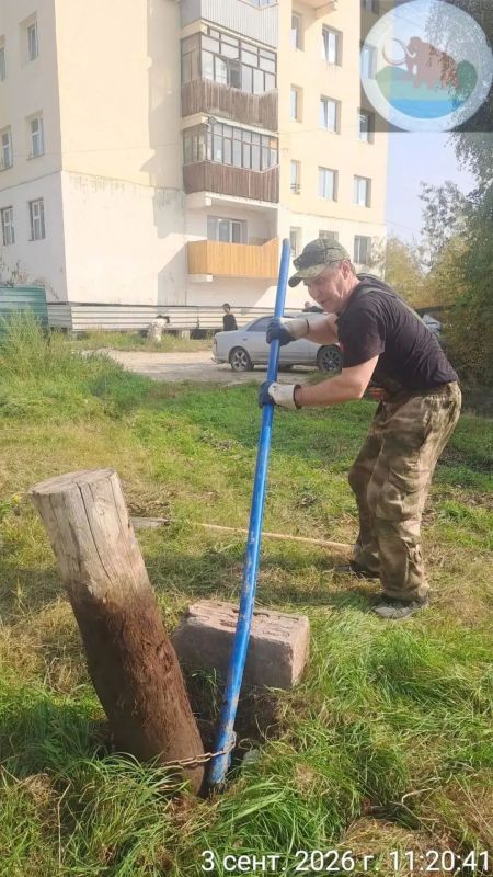Управа Сайсарского округа в рамках акции «Город без пней»: работаем на результат! Управа Сайсарского округа в рамках акции «Город без пней»: работаем на результат!