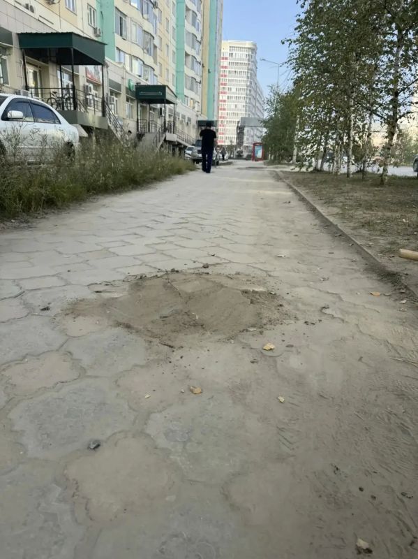 В Губинском округе — очередной шаг к «Городу без пней»! В Губинском округе — очередной шаг к «Городу без пней»!