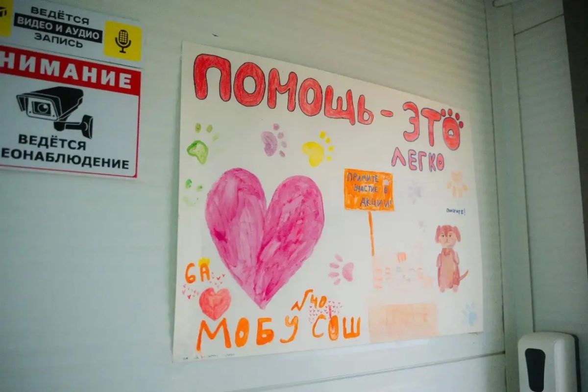 Побывал в приюте для животных без владельцев «Помоги выжить» на Очиченко Побывал в приюте для животных без владельцев «Помоги выжить» на Очиченко