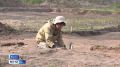 Уникальные находки обнаружили учёные в ходе масштабных раскопок