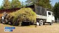 Календарная осень только началась, а в природном парке "Живые алмазы Якутии" уже готовят постояльцев к зиме