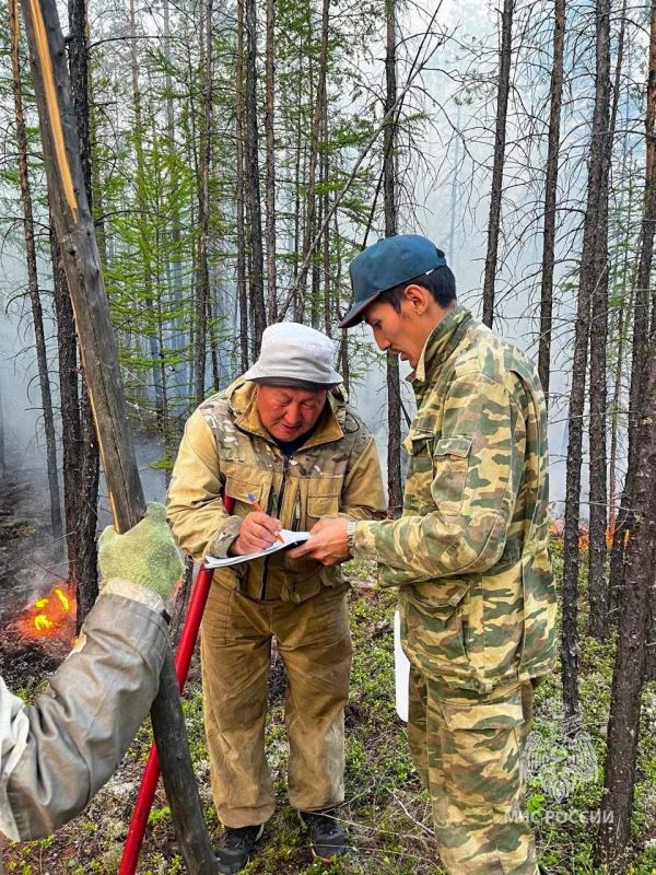 Лесные и ландшафтные пожары в Якутии: статистика, причины и меры реагирования Лесные и ландшафтные пожары в Якутии: статистика, причины и меры реагирования