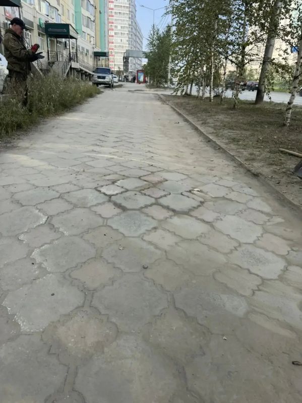 В Губинском округе — очередной шаг к «Городу без пней»! В Губинском округе — очередной шаг к «Городу без пней»!