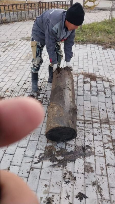 Выкорчевка пней — это незаметный, но важнейший этап городского благоустройства Выкорчевка пней — это незаметный, но важнейший этап городского благоустройства