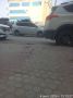 В Центральном округе продолжается выкорчёвка пней