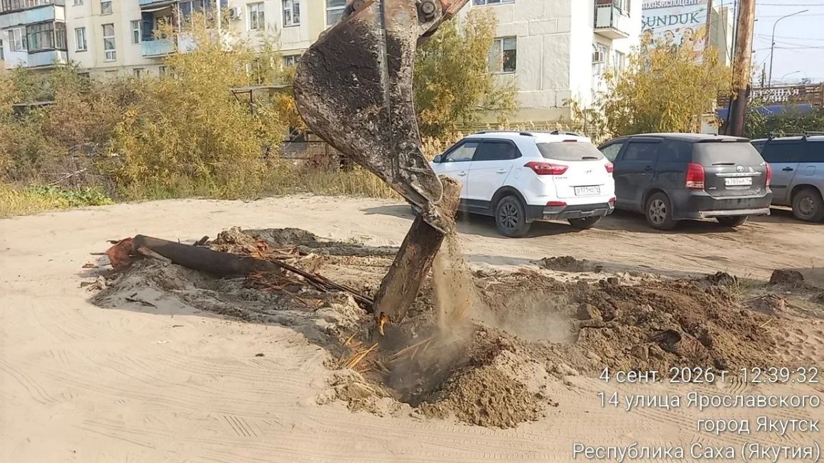 В Центральном округе выкорчевали деревянные сваи на Курашова, 1/1 Сегодня, 4 сентября, работники Управы Центрального округа своими силами провели выкорчёвку на улице Курашова, 1/1 В Центральном округе выкорчевали деревянные сваи на Курашова, 1/1 Сегодня, 4 сентября, работники Управы Центрального округа своими силами провели выкорчёвку на улице Курашова, 1/1