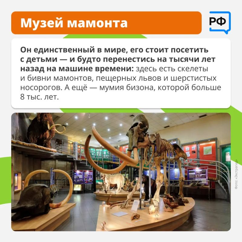 Где увидеть один из крупнейших в мире алмазов, мумию бизона возрастом 8 тыс Где увидеть один из крупнейших в мире алмазов, мумию бизона возрастом 8 тыс