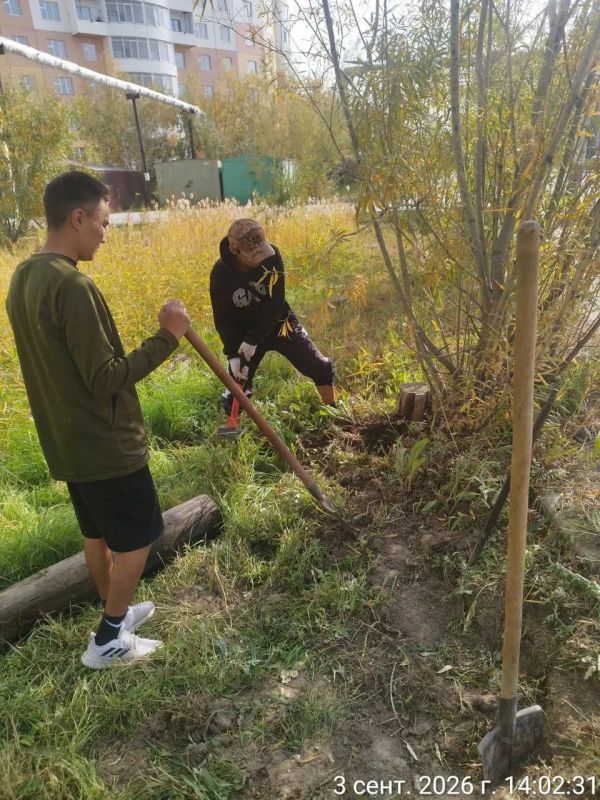 В рамках акции «Город без пней» на территории Строительного округа проведены работы по демонтажу пней В рамках акции «Город без пней» на территории Строительного округа проведены работы по демонтажу пней