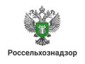 Россельхознадзор разъяснил правила учёта домашней птицы в личных подсобных хозяйствах