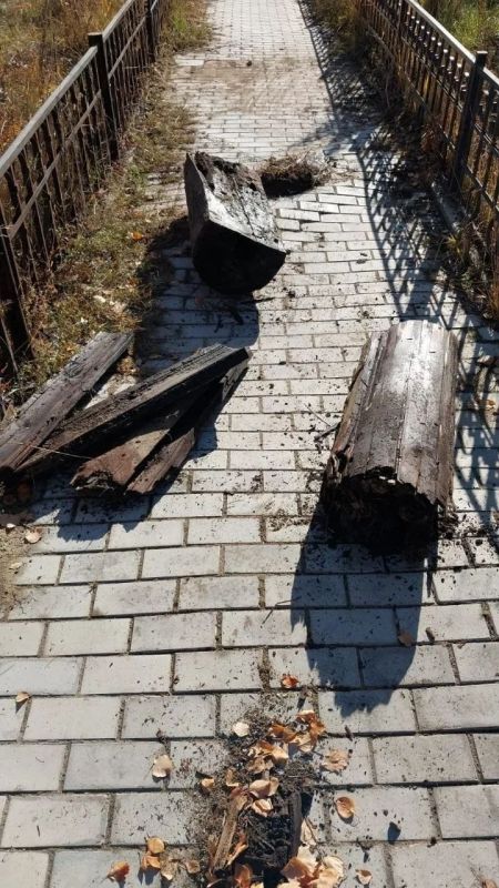 Выкорчевка пней — это незаметный, но важнейший этап городского благоустройства Выкорчевка пней — это незаметный, но важнейший этап городского благоустройства