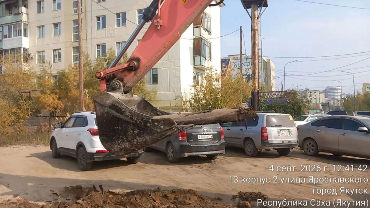 В Центральном округе выкорчевали деревянные сваи на Курашова, 1/1 Сегодня, 4 сентября, работники Управы Центрального округа своими силами провели выкорчёвку на улице Курашова, 1/1 В Центральном округе выкорчевали деревянные сваи на Курашова, 1/1 Сегодня, 4 сентября, работники Управы Центрального округа своими силами провели выкорчёвку на улице Курашова, 1/1