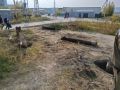 Работники МУП «Жилкомсервис» присоединяются к акции «город без пней»