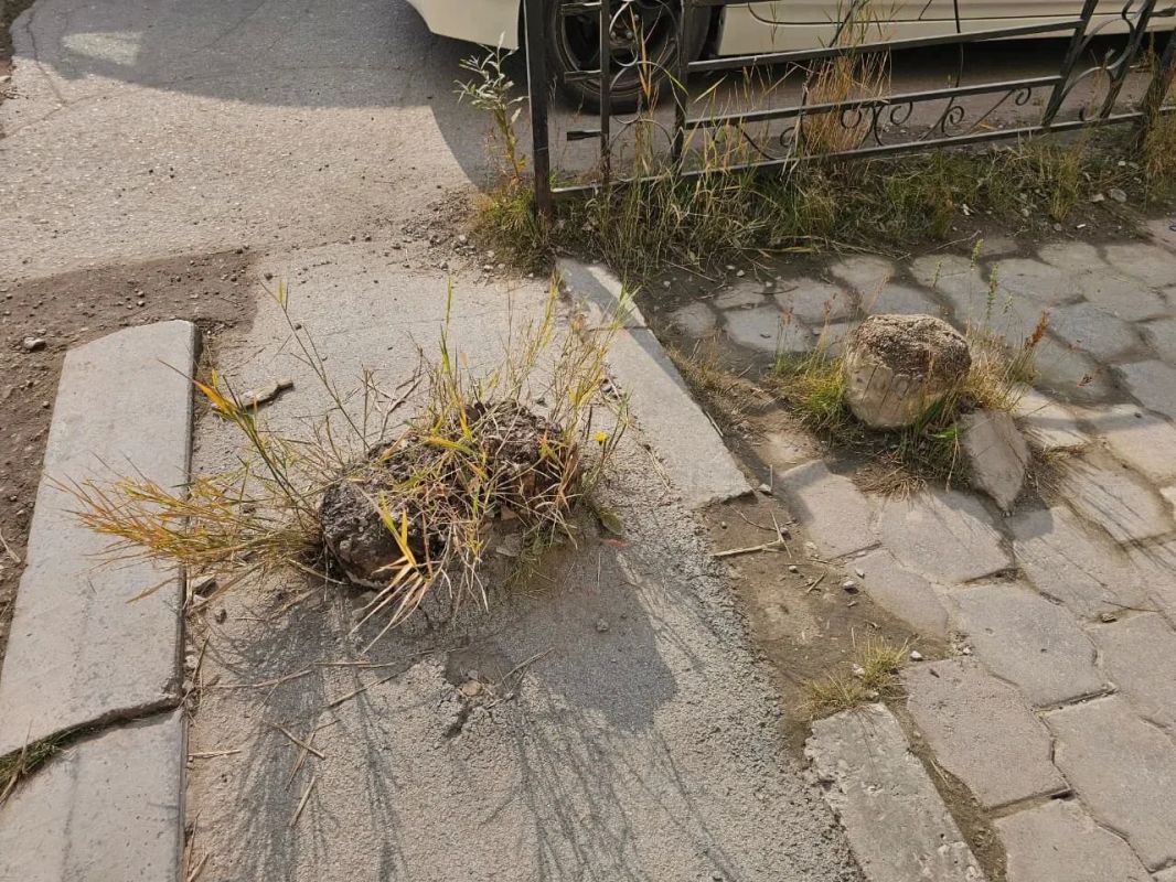 В рамках Общегородского субботника коллектив МОБУ Центр образования провели акцию "Город без пней" В рамках Общегородского субботника коллектив МОБУ Центр образования провели акцию "Город без пней"
