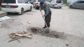 Война с пеньками в Якутске
