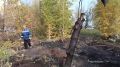 Акция «Город без пней» продолжается в Гагаринском округе!