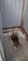 #пишут Пытались сходить с сыном в туалет в парке, но оба туалета оказались в ужасном состоянии