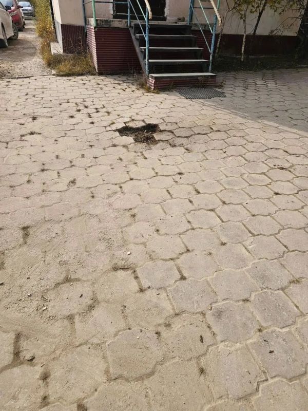 В рамках Общегородского субботника коллектив МОБУ Центр образования провели акцию "Город без пней" В рамках Общегородского субботника коллектив МОБУ Центр образования провели акцию "Город без пней"