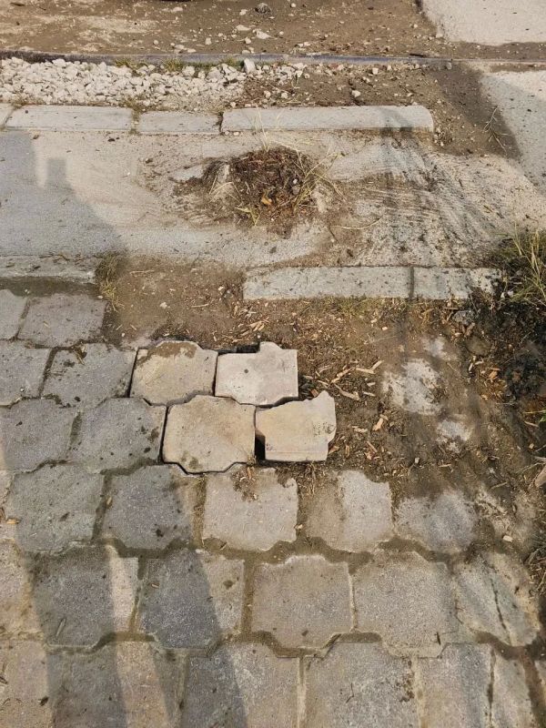 В рамках Общегородского субботника коллектив МОБУ Центр образования провели акцию "Город без пней" В рамках Общегородского субботника коллектив МОБУ Центр образования провели акцию "Город без пней"