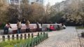 Департамент экономики вышел на субботник и обновил скамейки в Безымянном сквере