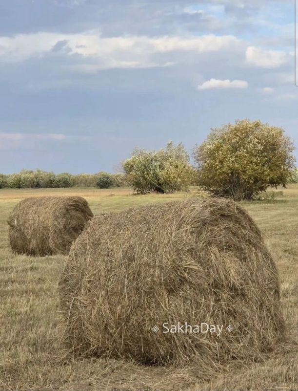 Стога сена на Зеленом лугу #отподписчика Стога сена на Зеленом лугу #отподписчика