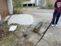 В рамках акции «Город без пней» на территории Губинского округа проводятся работы по демонтажу пней