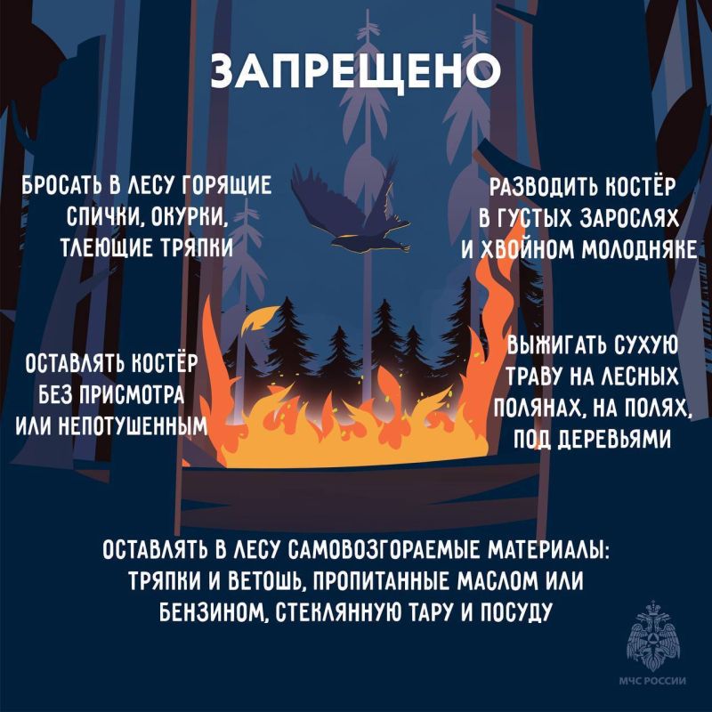В районах Якутии сохраняется лесопожарная опасность В районах Якутии сохраняется лесопожарная опасность
