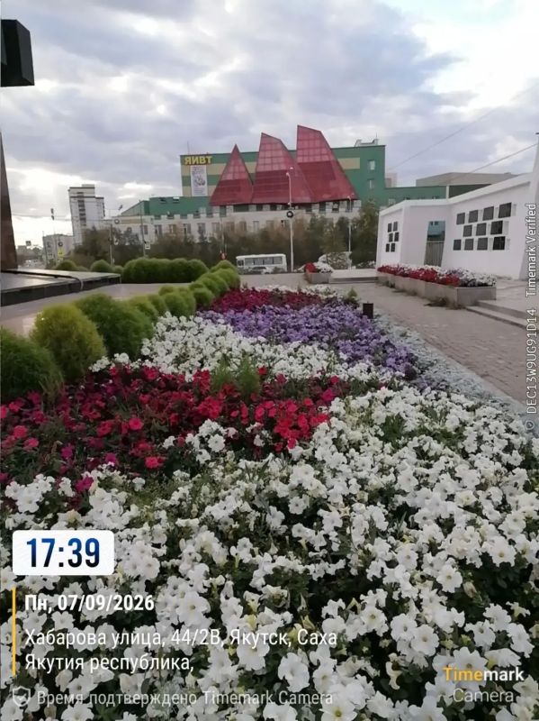 Ежедневная работа муниципального подрядчика по уходу за цветами на площади Победы и в сквере Солдат Туймаады — это кропотливый и ответственный труд, требующий внимания к деталям и глубокого понимания потребностей растений Ежедневная работа муниципального подрядчика по уходу за цветами на площади Победы и в сквере Солдат Туймаады — это кропотливый и ответственный труд, требующий внимания к деталям и глубокого понимания потребностей растений