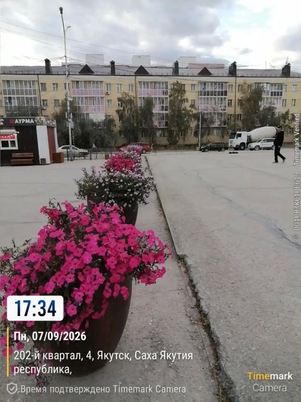 Ежедневная работа муниципального подрядчика по уходу за цветами на площади Победы и в сквере Солдат Туймаады — это кропотливый и ответственный труд, требующий внимания к деталям и глубокого понимания потребностей растений Ежедневная работа муниципального подрядчика по уходу за цветами на площади Победы и в сквере Солдат Туймаады — это кропотливый и ответственный труд, требующий внимания к деталям и глубокого понимания потребностей растений