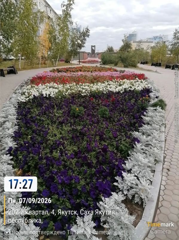 Ежедневная работа муниципального подрядчика по уходу за цветами на площади Победы и в сквере Солдат Туймаады — это кропотливый и ответственный труд, требующий внимания к деталям и глубокого понимания потребностей растений Ежедневная работа муниципального подрядчика по уходу за цветами на площади Победы и в сквере Солдат Туймаады — это кропотливый и ответственный труд, требующий внимания к деталям и глубокого понимания потребностей растений