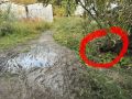 #����� ���� ��� ������������ � ������ ���������� � �����������-������� �������, ��� ����� ������� �� ����� ��������� 21/3