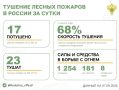 За прошедшие сутки в 11 регионах России потушили 17 лесных пожаров