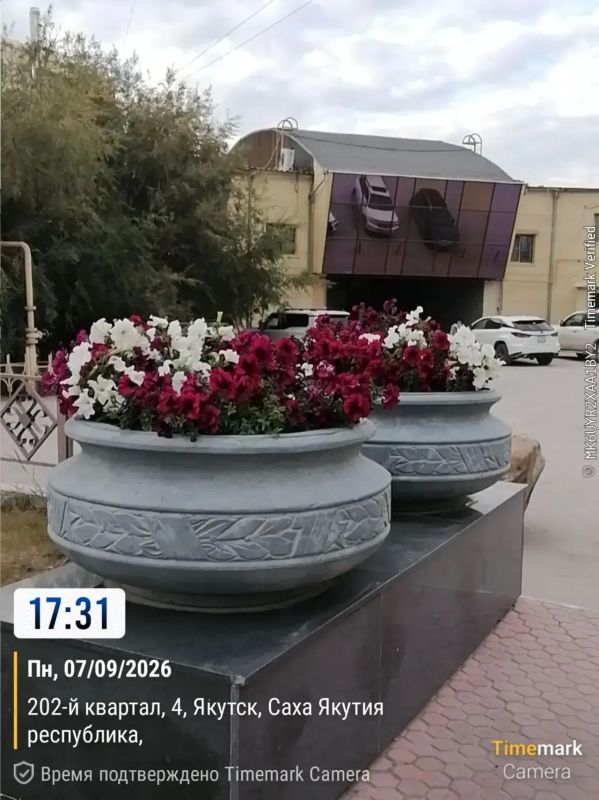 Ежедневная работа муниципального подрядчика по уходу за цветами на площади Победы и в сквере Солдат Туймаады — это кропотливый и ответственный труд, требующий внимания к деталям и глубокого понимания потребностей растений Ежедневная работа муниципального подрядчика по уходу за цветами на площади Победы и в сквере Солдат Туймаады — это кропотливый и ответственный труд, требующий внимания к деталям и глубокого понимания потребностей растений