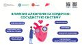Употребление алкоголя — один из самых агрессивных управляемых факторов риска для сердечно-сосудистой системы