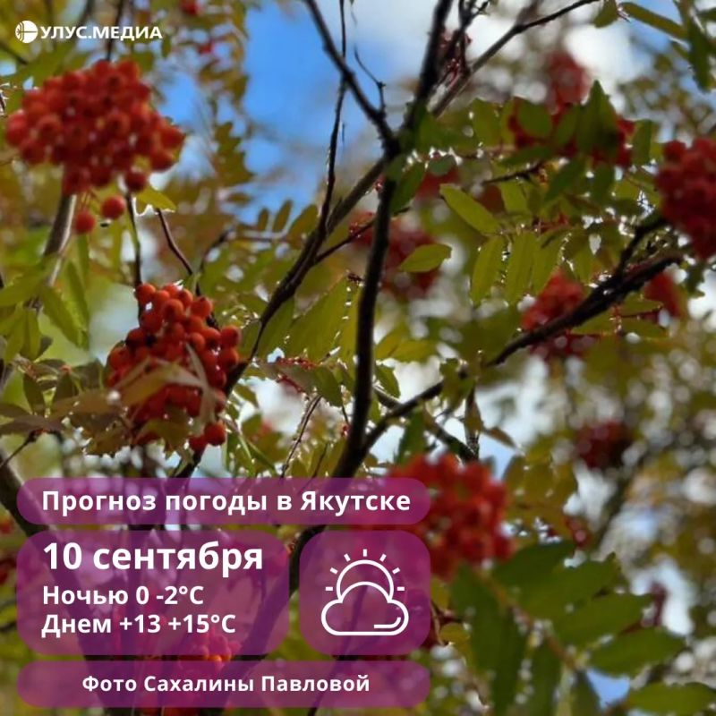 В Якутске ожидается до +15°C, а в районах республики — умеренные дожди и мокрый снег