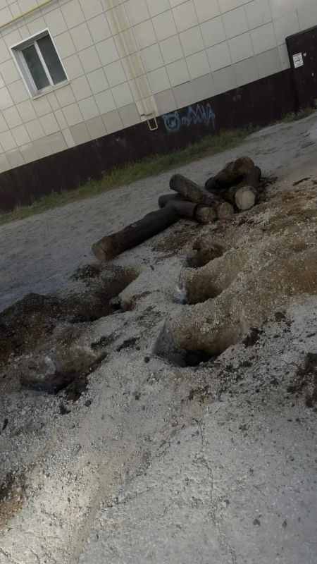 Акция "Город без пней" продолжается, УК ООО "Кибор" произвёл выкорчевку пней со двора жилых домов по адресу: ул. Каландаришвили 7 и 9/1, всего вытащили 10 пней Акция "Город без пней" продолжается, УК ООО "Кибор" произвёл выкорчевку пней со двора жилых домов по адресу: ул. Каландаришвили 7 и 9/1, всего вытащили 10 пней