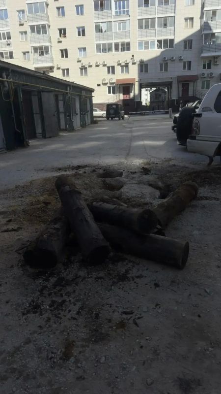 Акция "Город без пней" продолжается, УК ООО "Кибор" произвёл выкорчевку пней со двора жилых домов по адресу: ул. Каландаришвили 7 и 9/1, всего вытащили 10 пней Акция "Город без пней" продолжается, УК ООО "Кибор" произвёл выкорчевку пней со двора жилых домов по адресу: ул. Каландаришвили 7 и 9/1, всего вытащили 10 пней