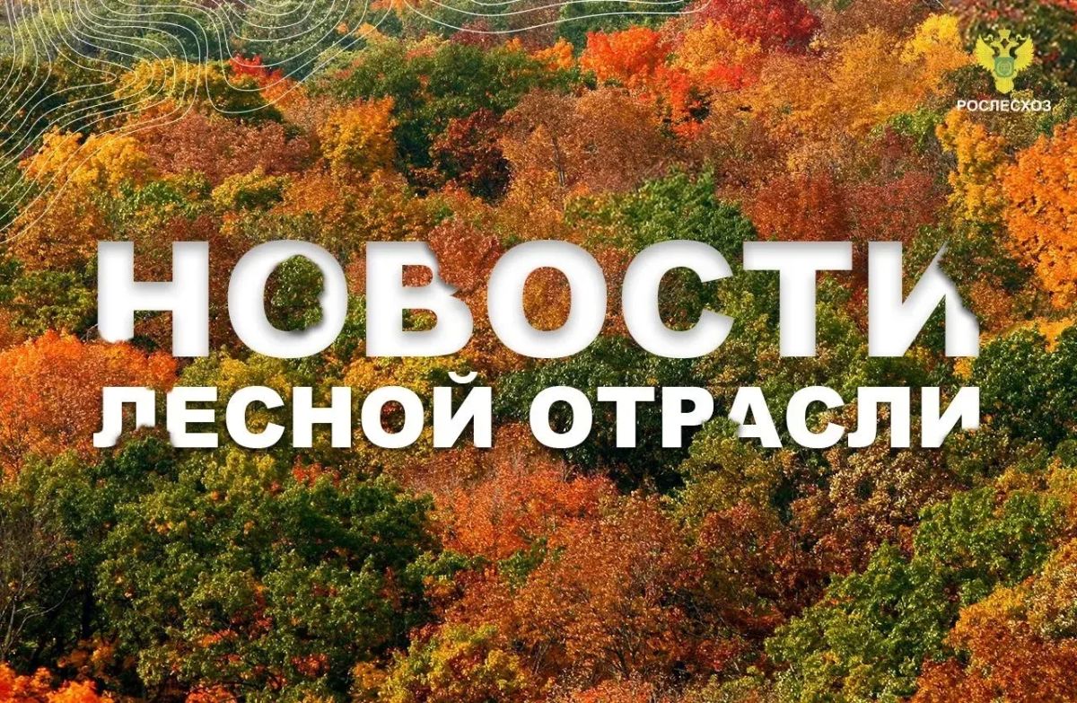 Вести Алтай: В Алтайский край поступила новая спецтехника для защиты и восстановления лесов
