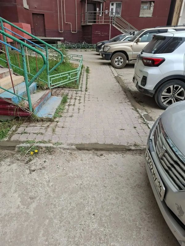 В рамках акции «Город без пней» УК ООО «Квартал 36» ликвидировала 9 пней во дворе жилых домов по адресу ул. Петровского, 10/1, 10/3, 10/5 В рамках акции «Город без пней» УК ООО «Квартал 36» ликвидировала 9 пней во дворе жилых домов по адресу ул. Петровского, 10/1, 10/3, 10/5
