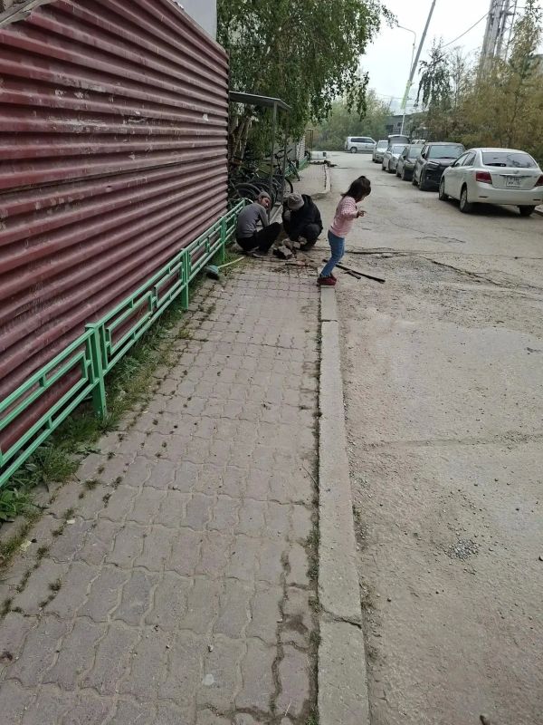 В рамках акции «Город без пней» УК ООО «Квартал 36» ликвидировала 9 пней во дворе жилых домов по адресу ул. Петровского, 10/1, 10/3, 10/5 В рамках акции «Город без пней» УК ООО «Квартал 36» ликвидировала 9 пней во дворе жилых домов по адресу ул. Петровского, 10/1, 10/3, 10/5