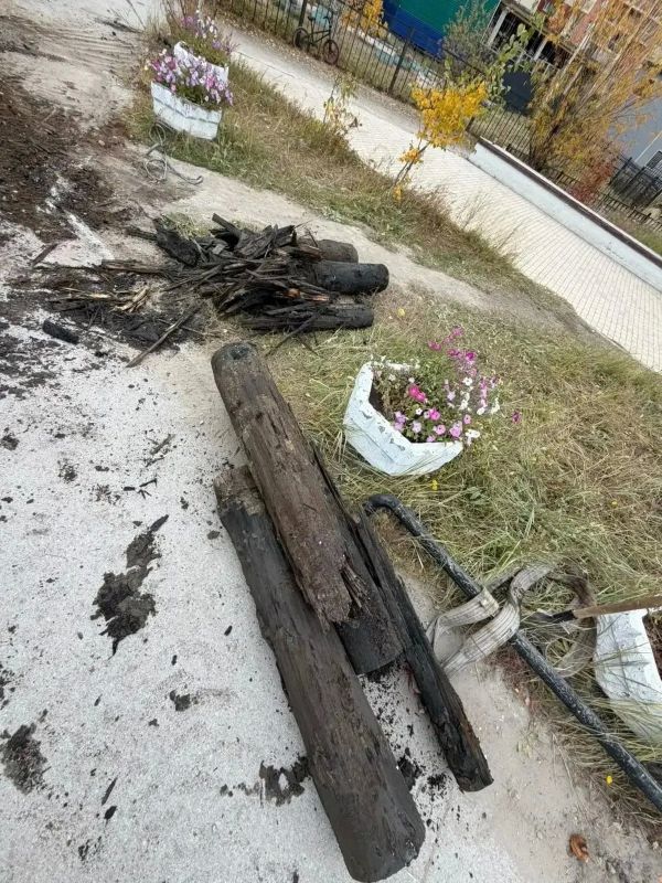 Школа №17 присоединилась к акции «Город без пней» Школа №17 присоединилась к акции «Город без пней»